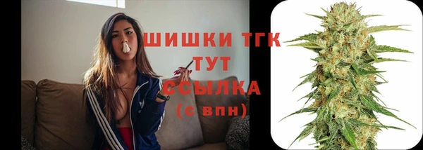 дживик Карпинск