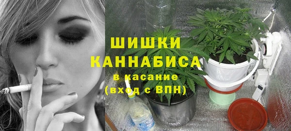 дживик Карпинск