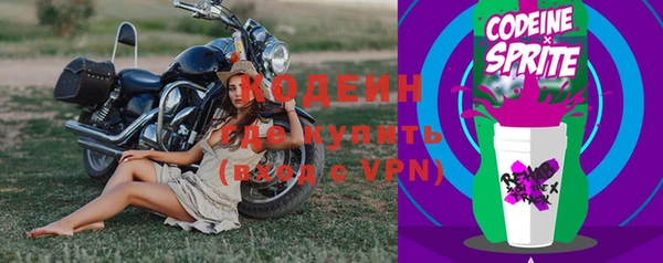 дживик Карпинск